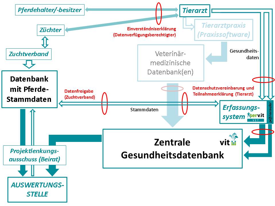 Datenflussschema Pferdegesundheit